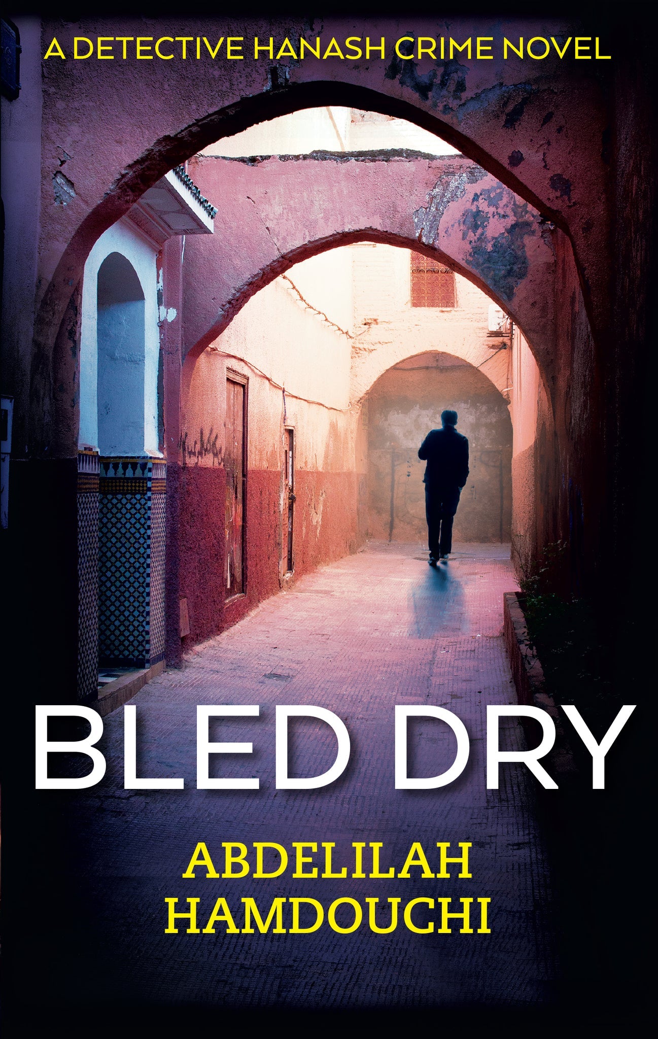 Cover image for Bled Dry: ISBN 9781617978401